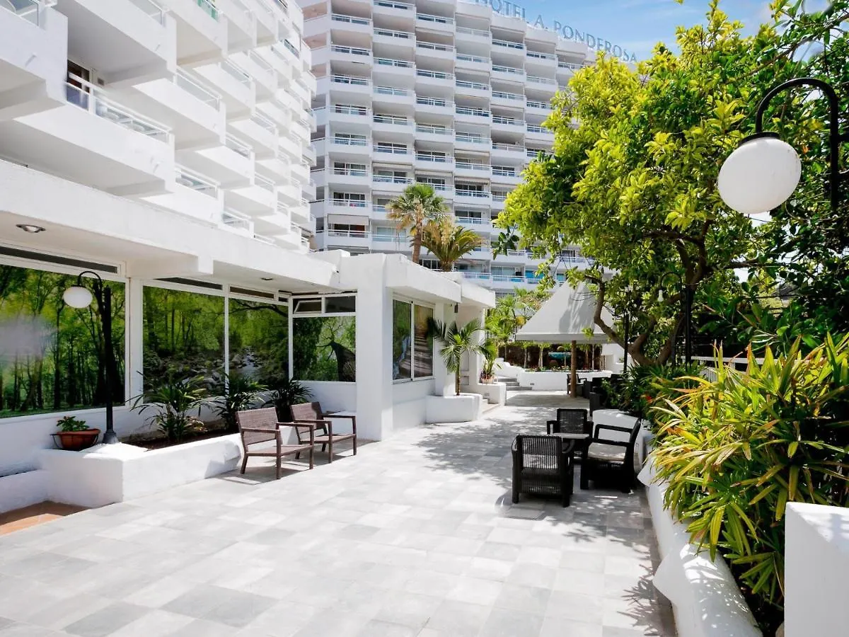 309 Tulip Apartment Playa Las Americas Адехе Испания